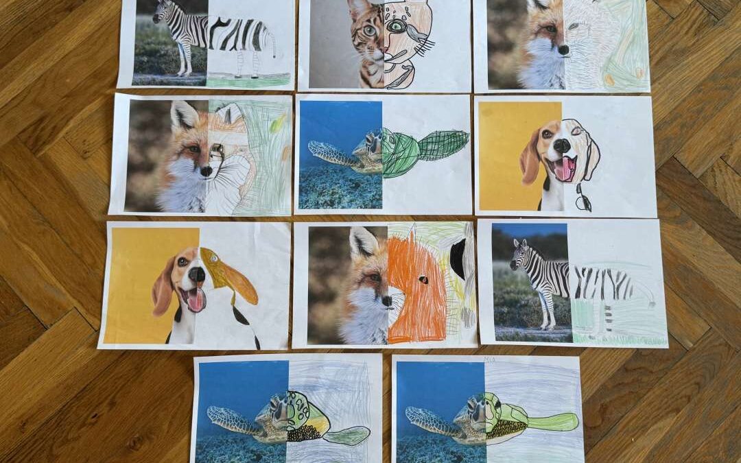 Novi početak – nove prilike