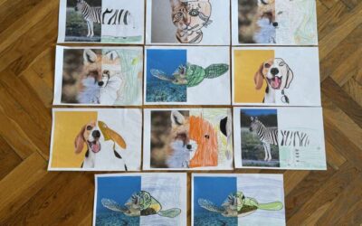 Novi početak – nove prilike