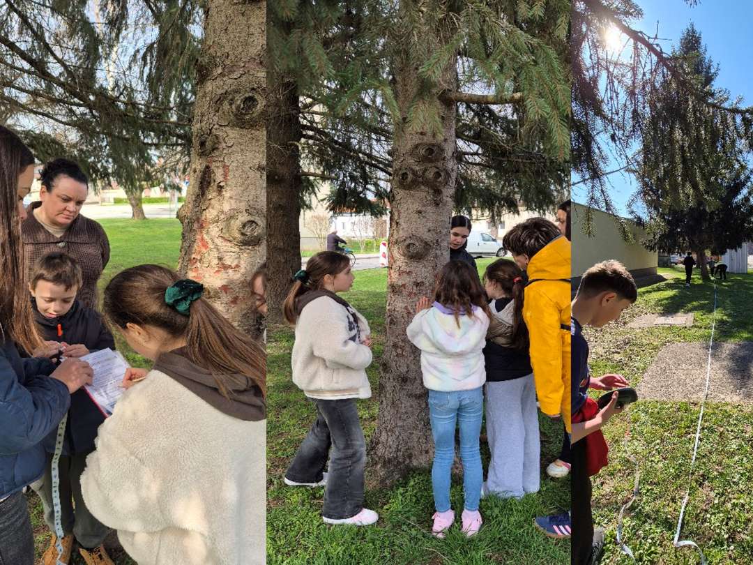 Erasmus Job Shadowing u OŠ Dubovac